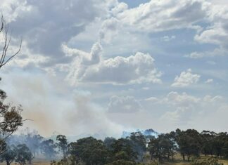 Firefighter save Cardinia minutes from disaster
