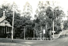 Step back to the Red Mill