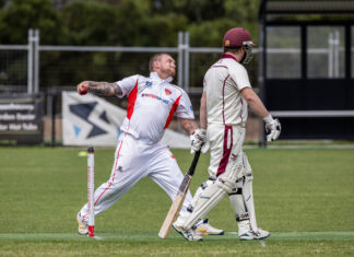 Panthers at a crossroads