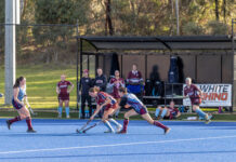 Cannons set to launch into season 2026