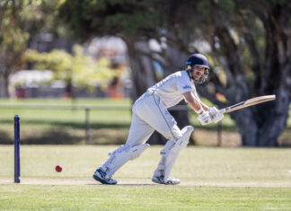 Bears prey on the Bucks