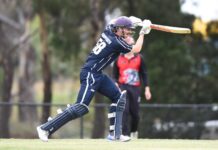 Bandits fall as Roos hop