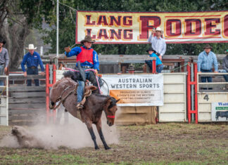 A rodeo with no beer