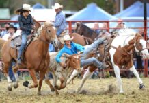 Lang Lang Rodeo drops alcohol in bid to be more family-friendly