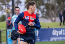Cross realises AFL dream as Demons pick up Casey product