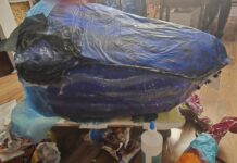 Community Art Group Makes Waves at Pakenham Show