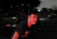 Armed duo attempt carjack in Hallam