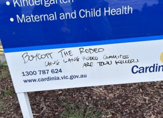 ‘Boycott the Rodeo’ graffiti spreads after alcohol ban