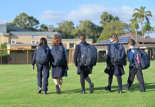 How is school-based crime comparable across Casey, Greater Dandenong and Cardinia?